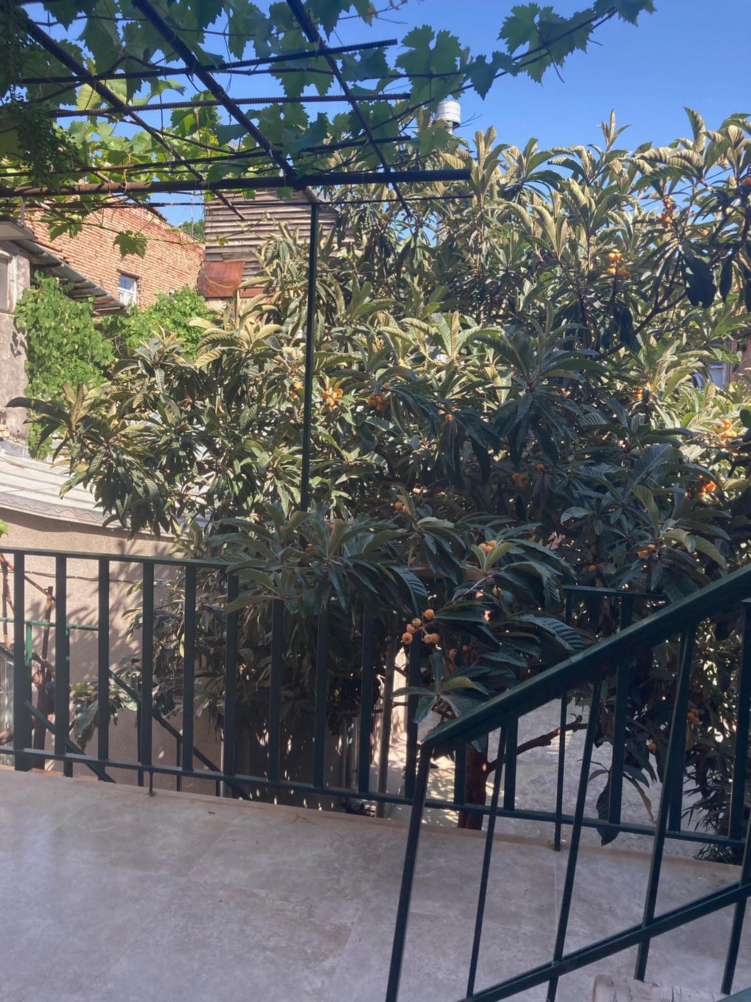 Historic Apartments "1868 Tbilisi" Best Location Buitenkant foto